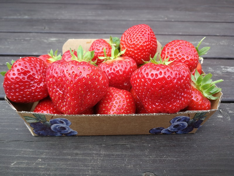 Falko labai gražios braškių uogos
